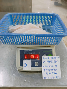 Filete de Pangasius Congelado Blanco Premium IQF de 10-12 cm, Bajo en Carbohidratos, Sin Aditivos, Marca VHFood, Paquete a Granel de Vietnam - Product Image 2