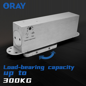 Thiết kế hiện đại thủy lực đóng cửa gần hơn Heavy Duty thép không gỉ <span class=keywords><strong>pivot</strong></span> bản lề cửa kính Hidden tầng bản lề - Product Image 3