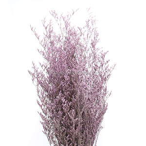 Vente en gros de fleurs de Limonium conservées et d'herbe de <span class=keywords><strong>Desmodium</strong></span> <span class=keywords><strong>Gyrans</strong></span> séchée du fournisseur du Yunnan pour les occasions de remise de diplômes de la Saint-Valentin - Product Image 3