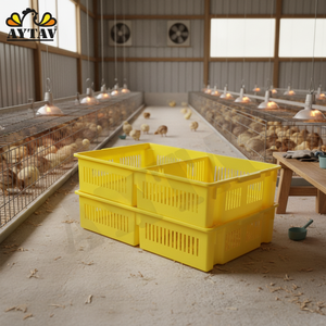 Caja para Pollitos AYTAV de 4 Secciones Perforada, Nueva, Venta al por Mayor, Capacidad para 100 Pollitos, 1 Año de Garantía, Larga Vida Útil, Material PP, Resistente a la Temperatura - Product Image 3