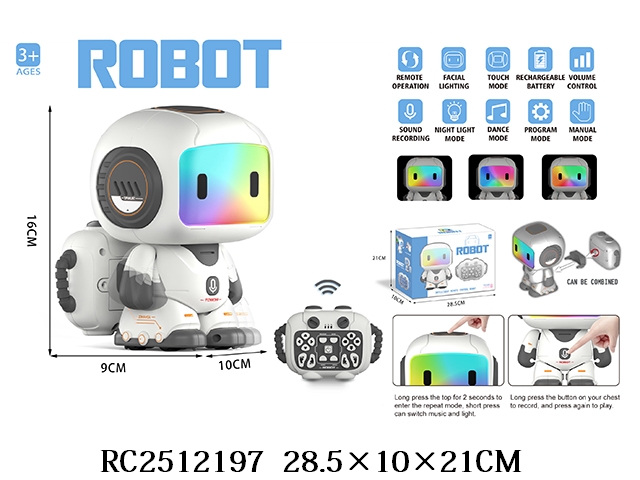 RC2512197 Gris