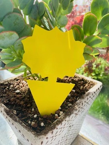 Pièges collants jaunes carton de colle papillon fleur jetable pour l'utilisation de contrôle des mouches intérieures et extérieures - Product Image 3