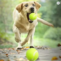 Balle pour animaux de compagnie en caoutchouc élastique, style tennis, résistante à l'usure, jouet interactif pour l'entraînement et le jeu de rapport, accessoire pour le nettoyage des dents, 6,3 cm
