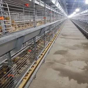 Q235 steel hot galvanized chicken cage for broilers and baby chicks