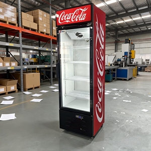 Refrigerador Vertical, el Mejor Refrigerador Integrado para Bebidas 2026, Refrigerador <span class=keywords><strong>Coca</strong></span>-<span class=keywords><strong>Cola</strong></span>, Nuevo Refrigerador para Bebidas Frías, Equipo de Refrigeración - Product Image 6
