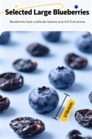 Fabriek Groothandel Gebakken Bosbessen Gedroogde Bulk Snack Bosbessen Gedroogd Fruit Gekonfijt Fruit Gedroogd