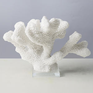 Résine de corail blanc, pour <span class=keywords><strong>Aquarium</strong></span> vifs, prix d'usine - Product Image 3