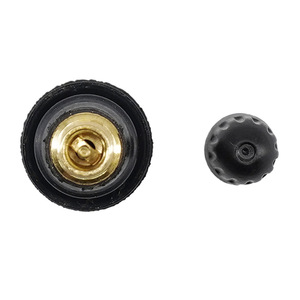 Kit TPMS-kit4, valve TPMS pour Buick Cadillac Regal, matériau ABS, système de surveillance de la pression des pneus, pièce de rechange - Product Image 4
