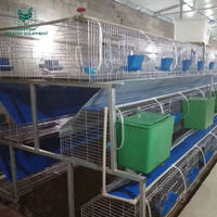 Cages d'Élevage de Lapins à 3 Niveaux, Durée de Vie 15-20 Ans, Fournisseur Chine