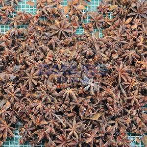 Equipo Avanzado para Deshidratar Anís Estrellado Chino, Secador de Anís Estrellado, Horno de Secado por Bomba de Calor para Anís Estrellado - Product Image 3