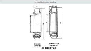 Roulement à rouleaux cylindriques 60x113x31mm pour machines minières <span class=keywords><strong>RN</strong></span> 312 E M1 Roulement à rouleaux excentriques - Product Image 5