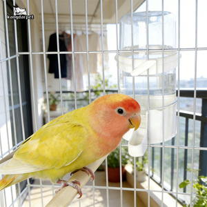 490ml Automatic Hanging Bird <b>Cage</b> Feeder, Dual-purpose <b>for</b> <b>Parrot</b> Drinking and Feeding, Suitable <b>for</b> Pet Birds - Product Image 2