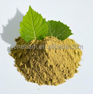 ผงสมุนไพร <span class=keywords><strong>DNJ</strong></span> สารสกัดจากหม่อนเกรดอาหารสำหรับผลิตภัณฑ์เสริมอาหารการผลิตที่เชื่อถือได้ - Product Image 3