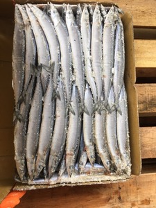 Rond entier Pacific <span class=keywords><strong>Saury</strong></span> congelé de bonne qualité - Product Image 5