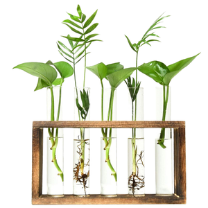 Minimalisti scher quadratischer Glas blumentopf mit Holz ständer für den Heim-und Desktop-Gebrauch Langlebige Vermehrung station - Product Image 1
