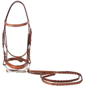 Brida de Cuero Negro de Lujo y Duradera para Caballo con Diadema de Cristal y Diseño Acolchado para Equitación Inglesa, Entrenamiento, Exhibición y Competición - Product Image 1