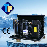 Unité de condensation de type boîte réfrigérante avec compresseur R404a 110V-120V 60Hz