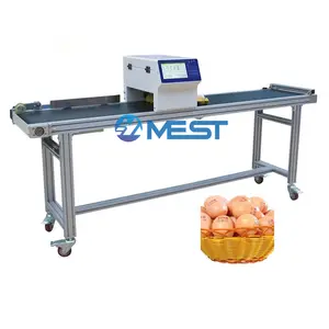 Impresora de inyección de tinta con fecha de caducidad de huevos de automatización