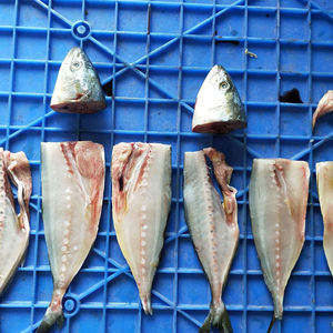 QDMECH otomatik balık kemik sökücü sıcak satış balık kesme ve işleme makinesi balık pulu kazıyıcı ve temizleme makinesi - Product Image 6