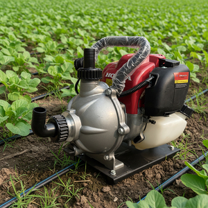 <span class=keywords><strong>Pompe</strong></span> <span class=keywords><strong>à</strong></span> <span class=keywords><strong>eau</strong></span> agricole/de jardin CE <span class=keywords><strong>Honda</strong></span> GX35, moteur 1 pouce - Product Image 3