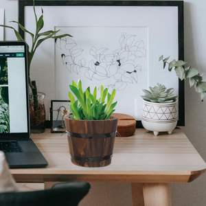 Jardinières de baril <span class=keywords><strong>en</strong></span> <span class=keywords><strong>bois</strong></span> rustiques 4 pièces petit <span class=keywords><strong>Mini</strong></span> seau à whisky Pots de fleurs avec poignées pour jardin extérieur décor intérieur - Product Image 5