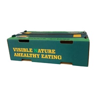 Carton ondulé de fruits légumes citron avocat laitue conteneurs de bonne qualité pliable de marque impression personnalisée boîte en papier bon marché