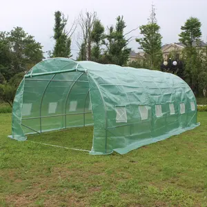 Cheap Vegetable Garden Flower Greenhouse 6x3x2m With 1 Doors