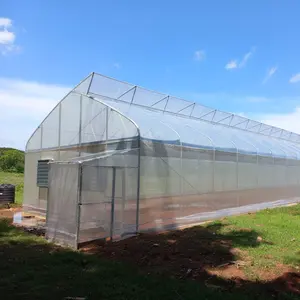 Serra di ventilazione superiore per agricoltura in acciaio zincato a caldo a campata singola Poly Film manuale o elettrico Roll up serra di ventilazione