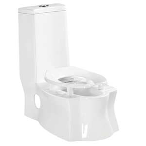 <span class=keywords><strong>Sadia</strong></span> Arabia-inodoro de cerámica de una pieza, estilo exclusivo, trampa en S, lavable, con certificado SASO - Product Image 1