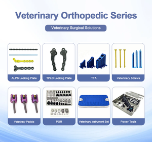 Balle de calibrage vétérinaire DavinMed pour chirurgie orthopédique pour petits animaux Marqueur de calibrage radiographique DR Diamètre 25mm - Product Image 4