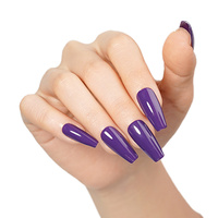 Ensemble de vernis gel ICE NOVA couleur violet, nouvelle tendance, sans HEMA, OEM/ODM, ensemble de vernis gel tendance, couleurs de gel solide pour nail art