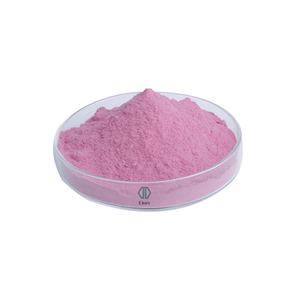 ผงเชอร์รี่ Acerola 1กก. ผงเชอร์รี่ Acerola แห้งแบบออร์แกนิกแช่แข็ง - Product Image 3