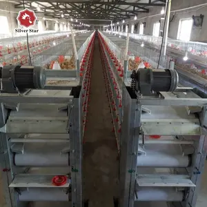 Cage de poulet à double couche automatique, cage de ferme de volaille pour 120 poules