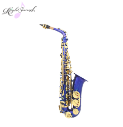 Come mostrato in figura