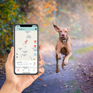 Medium Size Dog <span class=keywords><strong>GPS</strong></span> Track Geo Fence Alarm Break-離れType Collar Waterproof 4G Pet <span class=keywords><strong>GPS</strong></span> Tracking Device - Product Image 6