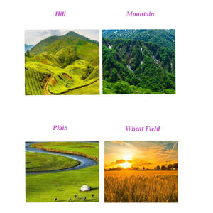 Machine à battre agricole commerciale multi-cultures pour arachides, céréales, maïs, blé et riz, à vendre - Product Image 4