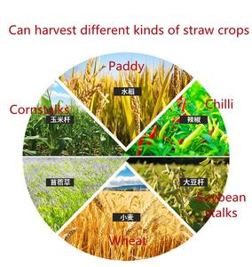 <span class=keywords><strong>La</strong></span> meilleure machine <span class=keywords><strong>à</strong></span> moissonner mini montée sur tracteur <span class=keywords><strong>à</strong></span> pied/moissonneuse <span class=keywords><strong>de</strong></span> blé <span class=keywords><strong>de</strong></span> riz/moissonneuses <span class=keywords><strong>de</strong></span> <span class=keywords><strong>ferme</strong></span> en <span class=keywords><strong>vente</strong></span> - Product Image 6