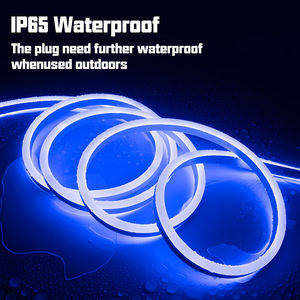 Lumière néon RGB flexible 110V 220V, bande LED néon RGB, Neonflex, Luces, Luz, Cinta, Cinta Tiras Led Neon - Product Image 5