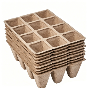 DaringFish Plateau de semis carré biodégradable 20x12 alvéoles + 20x étiquettes pour plantes + 1x kit de jardinage avec piqueur - Product Image 5