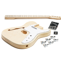 Wholesale Customizable Multi-Style and Multi-Design Electric Guitar Body Kit ST/TL DIY Electric Guitar Sets