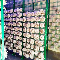 Mini-conteneur de culture de champignons comestibles de 3 m, cabine carrée personnalisée pour la culture de champignons, petit atelier de culture