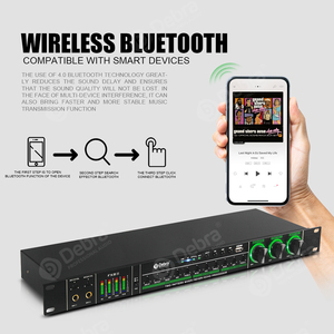 Procesador de Efectos de Audio Debra D-280 con Cable, Reverb, DSP, USB para Interfaz Óptica, Cancelación de Ruido, Luces LED - Product Image 2