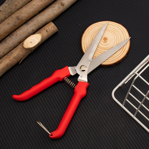 Stainless Steel <b>Pruning</b> Shears With Red Handle For Garden Fruit <b>Tree</b> Branch Cutting <b>Tool</b> - Product Image 2