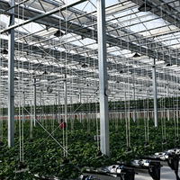 Serre agricole multi-chapelles en verre à structure galvanisée robuste, anti-vent, personnalisable et adaptée aux environnements difficiles, pour usage commercial