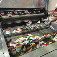 Op maat gemaakte tomatenverwerkingsmachines, industriële lijnen voor het inblikken, sap, puree en drankenproductie van tomaten