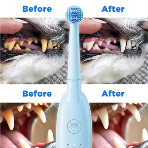 <span class=keywords><strong>Brosse</strong></span> à dents sonique à impulsion <span class=keywords><strong>pour</strong></span> <span class=keywords><strong>chien</strong></span>, marque privée personnalisée, IPX7, étanche, <span class=keywords><strong>brosse</strong></span> à dents électrique <span class=keywords><strong>pour</strong></span> <span class=keywords><strong>chien</strong></span> - Product Image 6