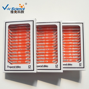 Kit de Microscopio de Plástico para Niños Serie Insectos: Desarrolla la Inteligencia de los Niños y Permite la Observación Microscópica de las Diapositivas - Product Image 1