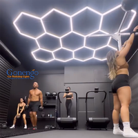 Le connecteur d'épissage de bureau de grande salle de sport de conception de bricolage a mené des lumières hexagonales en nid d'abeille