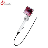 Endoscope vidéo flexible, caméra d'endoscopie numérique portable avec lumière LED pour ORL, urologie, bronchoscopie, vétérinaire