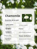 Huile Essentielle Pure et Naturelle 100% Biologique Distillée de Haute Qualité pour l'Aromathérapie et les Soins de la Peau, Parfum Sucré, Qualité Supérieure